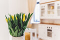 APARTAMENTY OAZA GABRIELA NADOLSKA - 34